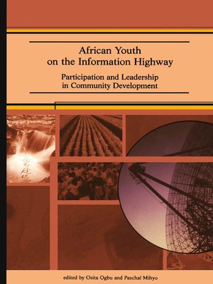 cover image of African Youth on the Information Highway